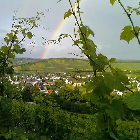Holiday home Muehlenhof - Mueller Thurgau Maring-Noviand