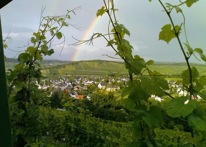 Vakantiehuis Muehlenhof - Mueller Thurgau Maring-Noviand