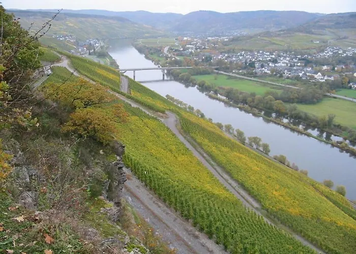 Muehlenhof - Mueller Thurgau Maring-Noviand