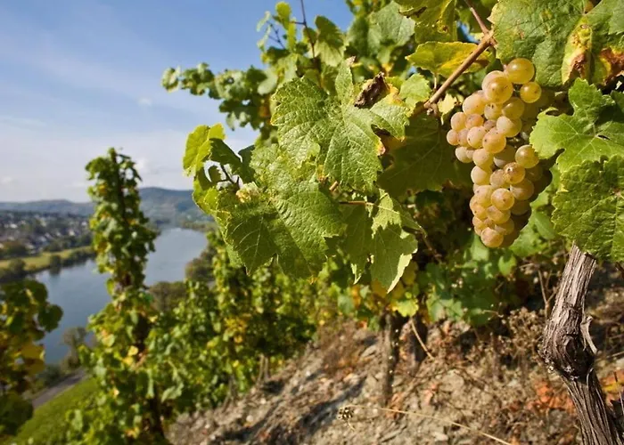 Vakantiehuis Muehlenhof - Mueller Thurgau Maring-Noviand